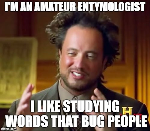 Ancient Aliens | I'M AN AMATEUR ENTYMOLOGIST; I LIKE STUDYING WORDS THAT BUG PEOPLE | image tagged in memes,ancient aliens | made w/ Imgflip meme maker