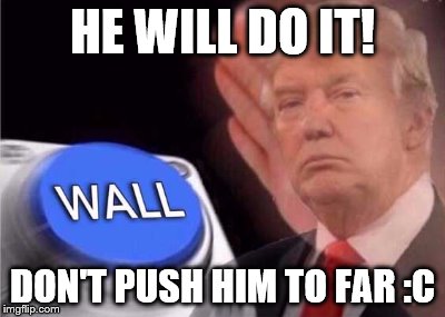Trump wall button  | HE WILL DO IT! DON'T PUSH HIM TO FAR :C | image tagged in trump wall button | made w/ Imgflip meme maker