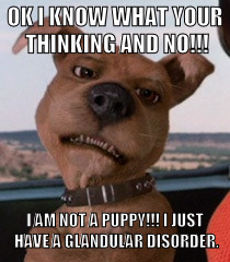Scrappy Doo | OK I KNOW WHAT YOUR THINKING AND NO!!! I AM NOT A PUPPY!!! I JUST HAVE A GLANDULAR DISORDER. | image tagged in scrappy doo | made w/ Imgflip meme maker