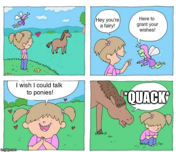 Talk to Ponies | *QUACK* | image tagged in talk to ponies | made w/ Imgflip meme maker