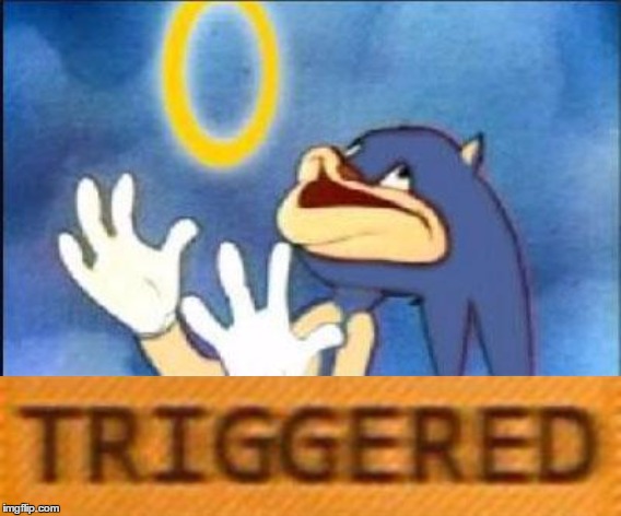 When Your Marriage Proposal to the Love of Your Life Gets Turned Down | image tagged in sonic,sonic the hedgehog,sonic derp,triggered,romance,proposal | made w/ Imgflip meme maker