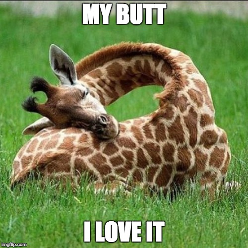 MY BUTT; I LOVE IT | image tagged in my butt love it | made w/ Imgflip meme maker