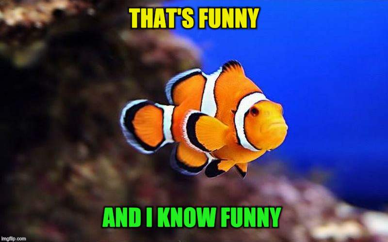 THAT'S FUNNY AND I KNOW FUNNY | made w/ Imgflip meme maker