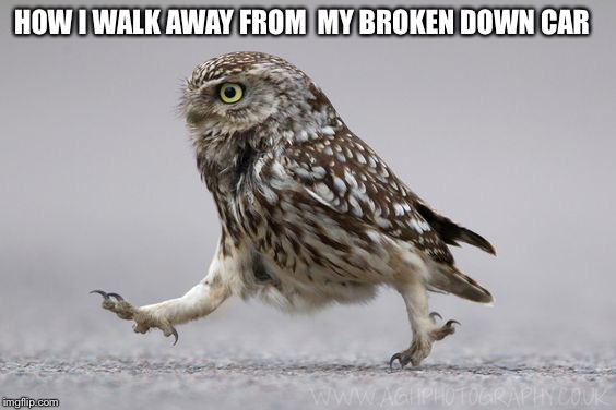 usin my stupid fkn feet and my stupid fkn legs to fkn walk on this stupid fkn road stupid fkn car | HOW I WALK AWAY FROM  MY BROKEN DOWN CAR | image tagged in its fkn bullshit | made w/ Imgflip meme maker