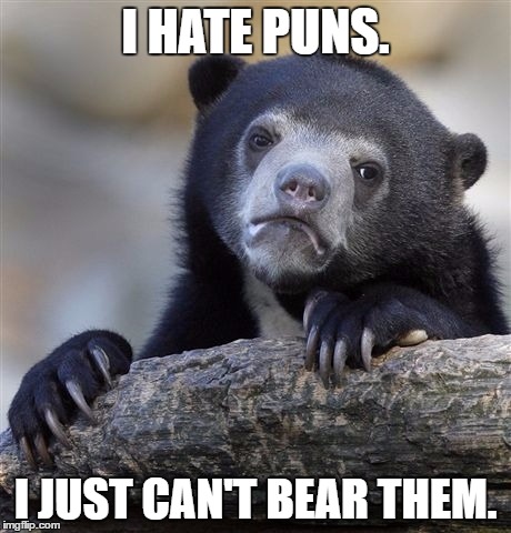 Confession Bear Meme | I HATE PUNS. I JUST CAN'T BEAR THEM. | image tagged in memes,confession bear | made w/ Imgflip meme maker