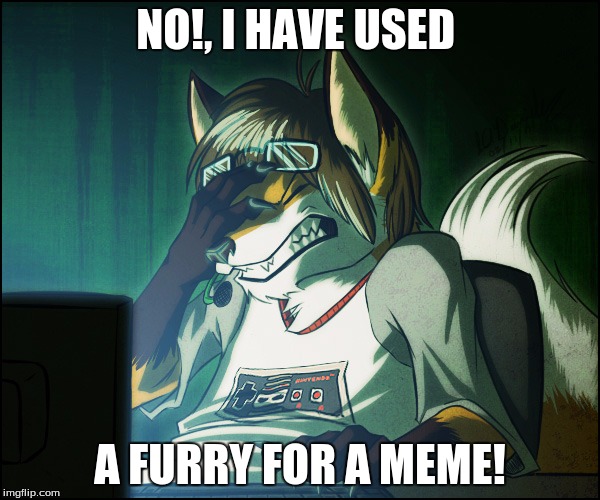 I have now used a furry, or Furry facepalm... |  NO!, I HAVE USED; A FURRY FOR A MEME! | image tagged in furry facepalm | made w/ Imgflip meme maker