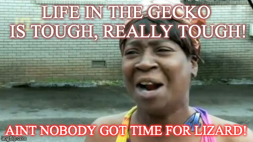 Ain't Nobody Got Time For That Meme | LIFE IN THE GECKO IS TOUGH, REALLY TOUGH! AINT NOBODY GOT TIME FOR LIZARD! | image tagged in memes,aint nobody got time for that | made w/ Imgflip meme maker