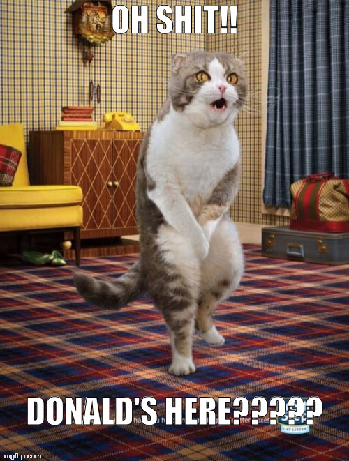 Gotta Go Cat Meme |  OH SHIT!! DONALD'S HERE????? | image tagged in memes,gotta go cat | made w/ Imgflip meme maker