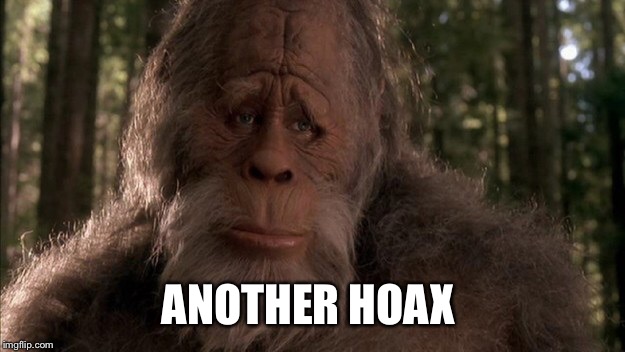 ANOTHER HOAX | made w/ Imgflip meme maker