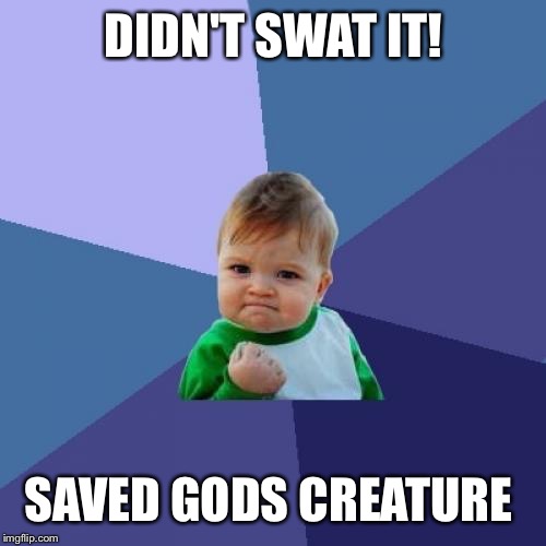 Success Kid Meme | DIDN'T SWAT IT! SAVED GODS CREATURE | image tagged in memes,success kid | made w/ Imgflip meme maker