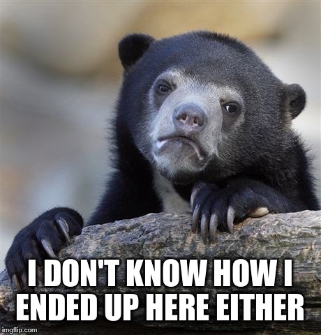 Confession Bear Meme | I DON'T KNOW HOW I ENDED UP HERE EITHER | image tagged in memes,confession bear | made w/ Imgflip meme maker