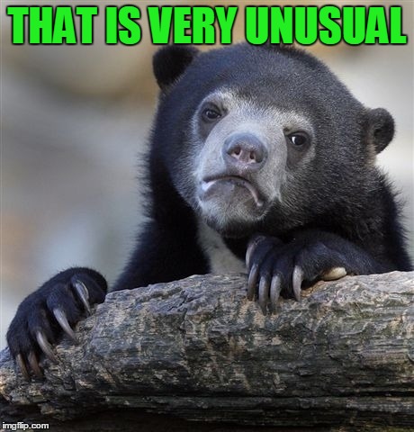 Confession Bear Meme | THAT IS VERY UNUSUAL | image tagged in memes,confession bear | made w/ Imgflip meme maker