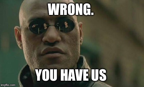 Matrix Morpheus Meme | WRONG. YOU HAVE US | image tagged in memes,matrix morpheus | made w/ Imgflip meme maker