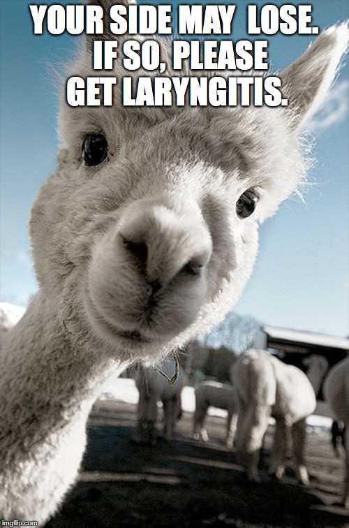 llamas | YOUR SIDE MAY 
LOSE.  IF SO, PLEASE GET LARYNGITIS. | image tagged in llamas | made w/ Imgflip meme maker