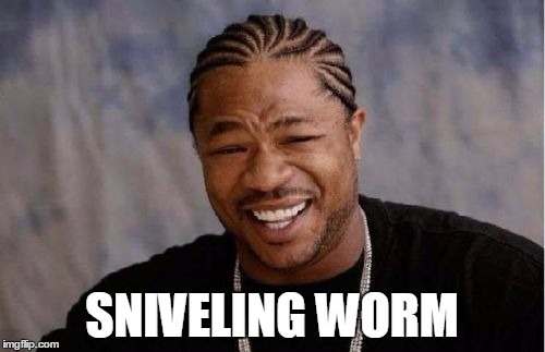 Yo Dawg Heard You Meme | SNIVELING WORM | image tagged in memes,yo dawg heard you | made w/ Imgflip meme maker