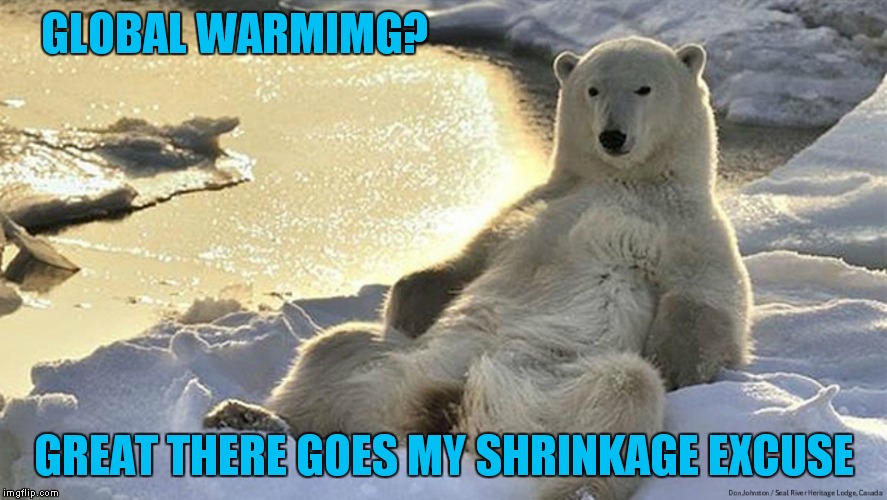 Just blame it on your iceberg...  | GLOBAL WARMIMG? GREAT THERE GOES MY SHRINKAGE EXCUSE | image tagged in global warming,shrinkage,memes | made w/ Imgflip meme maker