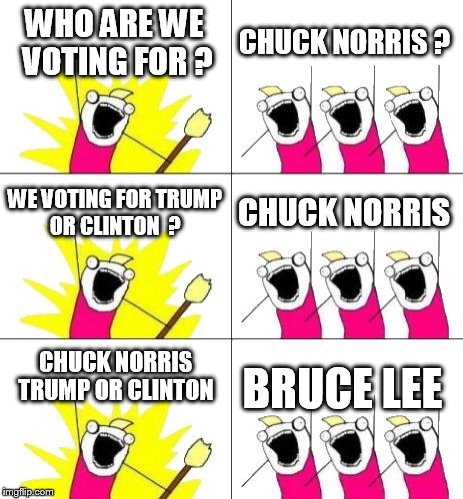 What Do We Want 3 | WHO ARE WE VOTING FOR ? CHUCK NORRIS ? WE VOTING FOR TRUMP OR CLINTON  ? CHUCK NORRIS; CHUCK NORRIS  TRUMP OR CLINTON; BRUCE LEE | image tagged in memes,what do we want 3 | made w/ Imgflip meme maker