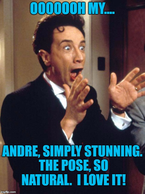 OOOOOOH MY.... ANDRE, SIMPLY STUNNING. THE POSE, SO NATURAL.  I LOVE IT! | made w/ Imgflip meme maker