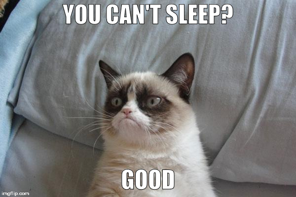 Grumpy Cat Bed | YOU CAN'T SLEEP? GOOD | image tagged in memes,grumpy cat bed,grumpy cat | made w/ Imgflip meme maker