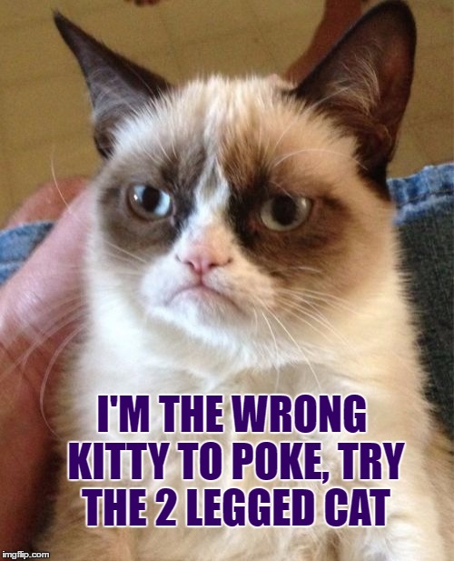 Grumpy Cat Meme | I'M THE WRONG KITTY TO POKE, TRY THE 2 LEGGED CAT | image tagged in memes,grumpy cat | made w/ Imgflip meme maker
