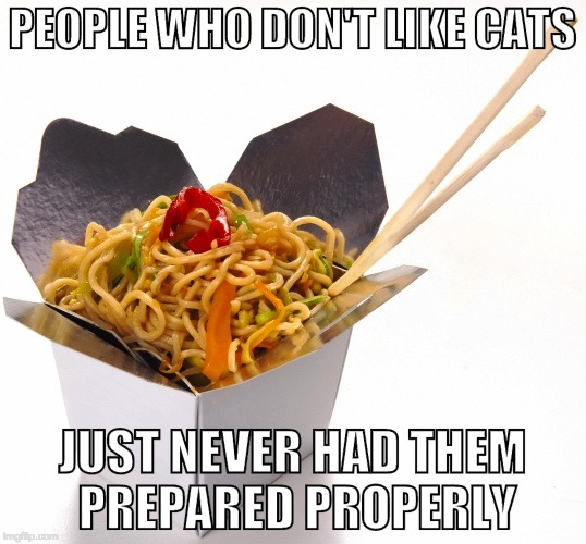 Maybe I'll give cats a try... | PEOPLE WHO DON'T LIKE CATS; JUST NEVER HAD THEM PREPARED PROPERLY | image tagged in chinese food,cats,chine,dog,bacon | made w/ Imgflip meme maker