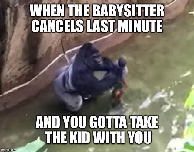 Babysitters Club | WHEN THE BABYSITTER CANCELS LAST MINUTE; AND YOU GOTTA TAKE THE KID WITH YOU | image tagged in memes,funny memes,harambe,dicksoutforharambe,gorilla shot relax zoo harambe,dank memes | made w/ Imgflip meme maker