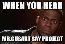 Kevin Hart Meme | WHEN YOU HEAR; MR.GUSART SAY PROJECT | image tagged in memes,kevin hart the hell | made w/ Imgflip meme maker