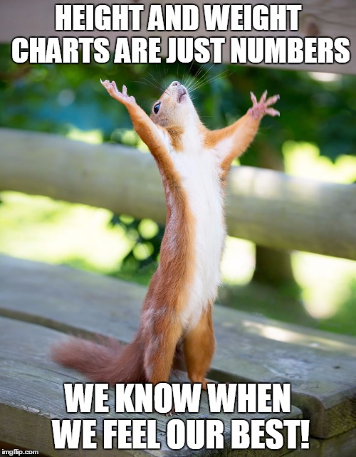 happy squirrel | HEIGHT AND WEIGHT CHARTS ARE JUST NUMBERS; WE KNOW WHEN WE FEEL OUR BEST! | image tagged in happy squirrel | made w/ Imgflip meme maker