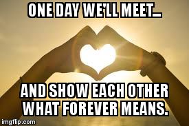 Forever Love | ONE DAY WE'LL MEET... AND SHOW EACH OTHER WHAT FOREVER MEANS. | image tagged in forever love | made w/ Imgflip meme maker