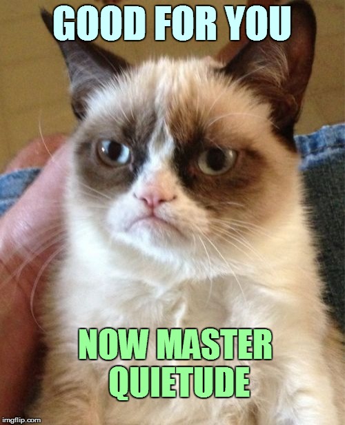 Grumpy Cat Meme | GOOD FOR YOU NOW MASTER QUIETUDE | image tagged in memes,grumpy cat | made w/ Imgflip meme maker