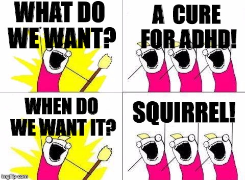 what do we want 2 | WHAT DO WE WANT? A  CURE FOR ADHD! SQUIRREL! WHEN DO WE WANT IT? | image tagged in what do we want 2 | made w/ Imgflip meme maker