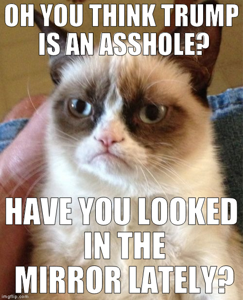 Grumpy Cat Meme | OH YOU THINK TRUMP IS AN ASSHOLE? HAVE YOU LOOKED IN THE MIRROR LATELY? | image tagged in memes,grumpy cat,donald trump,biased media,liberal logic,unwashed masses | made w/ Imgflip meme maker