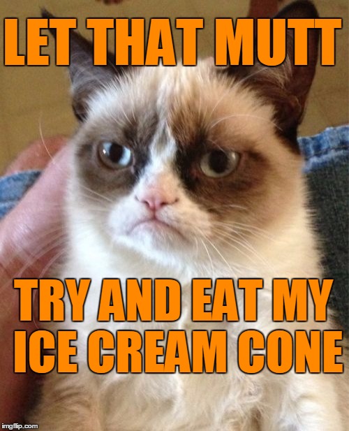 Grumpy Cat Meme | LET THAT MUTT TRY AND EAT MY ICE CREAM CONE | image tagged in memes,grumpy cat | made w/ Imgflip meme maker