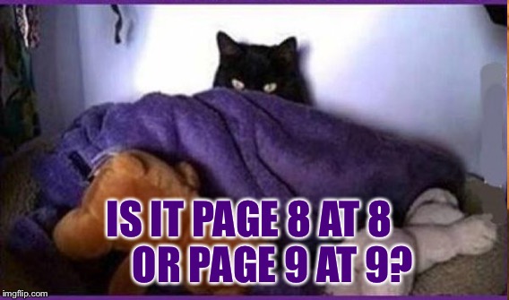 IS IT PAGE 8 AT 8      OR PAGE 9 AT 9? | made w/ Imgflip meme maker