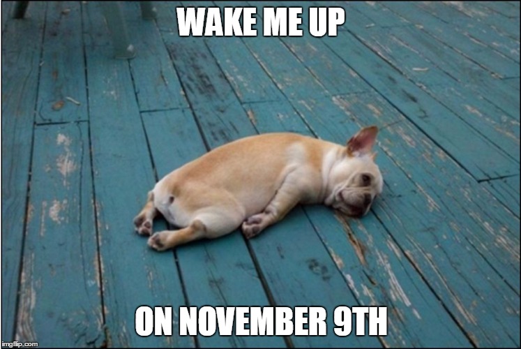 I'm So sick of the election | WAKE ME UP; ON NOVEMBER 9TH | image tagged in tired dog | made w/ Imgflip meme maker