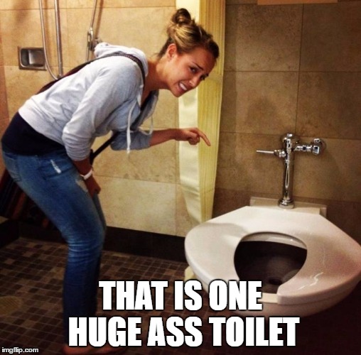 THAT IS ONE HUGE ASS TOILET | image tagged in huge,toilet,hippopotamus | made w/ Imgflip meme maker