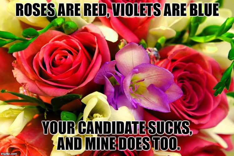 Flowers | ROSES ARE RED, VIOLETS ARE BLUE; YOUR CANDIDATE SUCKS, AND MINE DOES TOO. | image tagged in flowers | made w/ Imgflip meme maker