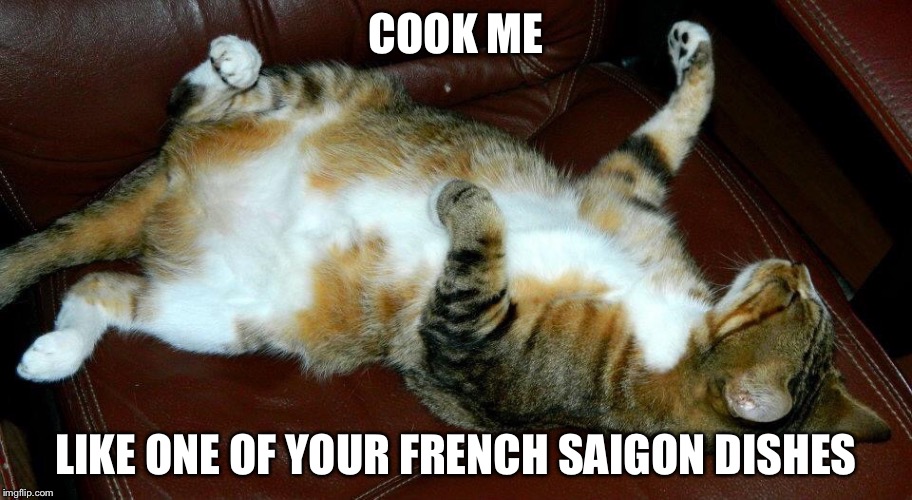 COOK ME LIKE ONE OF YOUR FRENCH SAIGON DISHES | image tagged in cat master | made w/ Imgflip meme maker