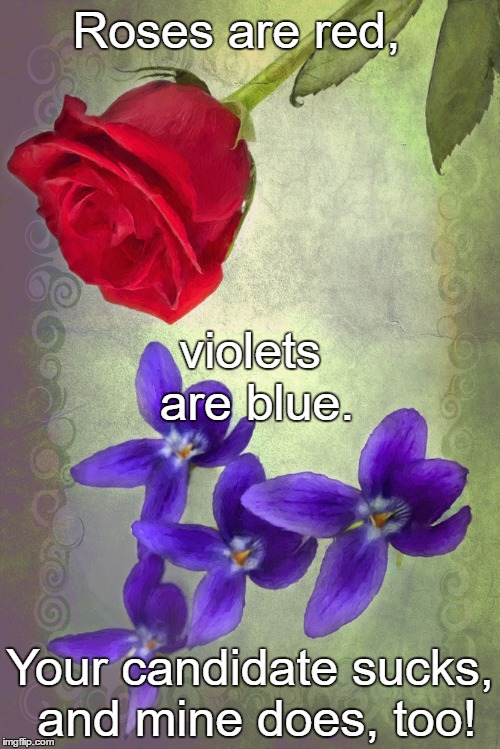 Roses are many colors other than red, violets are fricken violet | Roses are red, violets are blue. Your candidate sucks, and mine does, too! | image tagged in roses are many colors other than red violets are fricken violet | made w/ Imgflip meme maker
