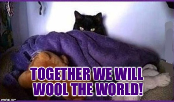 TOGETHER WE WILL WOOL THE WORLD! | made w/ Imgflip meme maker