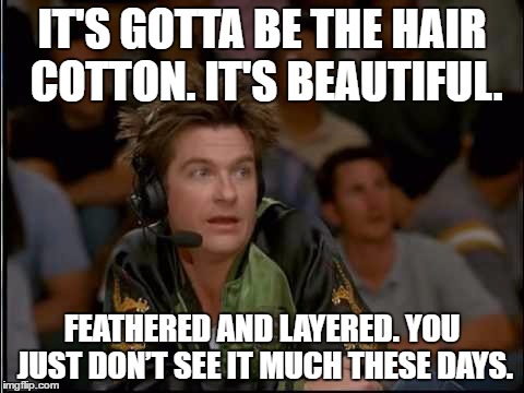 IT'S GOTTA BE THE HAIR COTTON. IT'S BEAUTIFUL. FEATHERED AND LAYERED. YOU JUST DON’T SEE IT MUCH THESE DAYS. | made w/ Imgflip meme maker