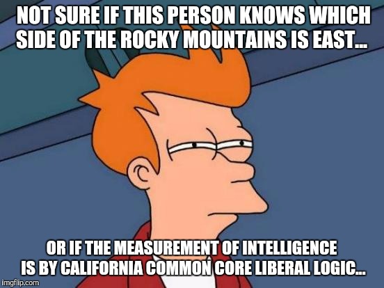 Futurama Fry Meme | NOT SURE IF THIS PERSON KNOWS WHICH SIDE OF THE ROCKY MOUNTAINS IS EAST... OR IF THE MEASUREMENT OF INTELLIGENCE IS BY CALIFORNIA COMMON COR | image tagged in memes,futurama fry | made w/ Imgflip meme maker