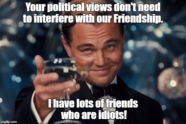 Leonardo Dicaprio Cheers | Your political views don't need to
interfere with our Friendship. I have lots of friends who are idiots! | image tagged in memes,leonardo dicaprio cheers | made w/ Imgflip meme maker