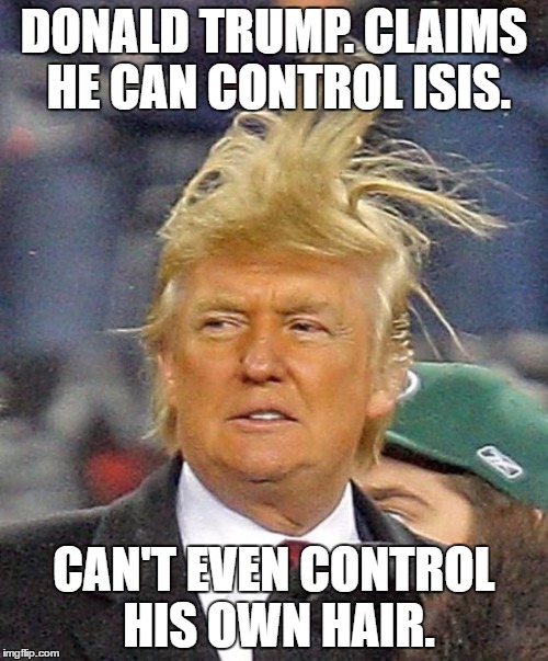 Donald Trumph hair | DONALD TRUMP. CLAIMS HE CAN CONTROL ISIS. CAN'T EVEN CONTROL HIS OWN HAIR. | image tagged in donald trumph hair | made w/ Imgflip meme maker