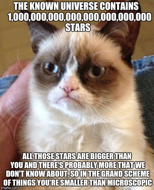 Grumpy Cat | THE KNOWN UNIVERSE CONTAINS
   1,000,000,000,000,000,000,000,000 STARS; ALL THOSE STARS ARE BIGGER THAN YOU AND THERE'S PROBABLY MORE THAT WE DON'T KNOW ABOUT, SO IN THE GRAND SCHEME OF THINGS YOU'RE SMALLER THAN MICROSCOPIC | image tagged in memes,grumpy cat | made w/ Imgflip meme maker
