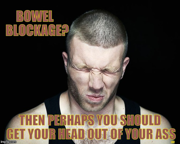 BOWEL BLOCKAGE? | BOWEL       BLOCKAGE? ,,, THEN PERHAPS YOU SHOULD GET YOUR HEAD OUT OF YOUR ASS | image tagged in meme | made w/ Imgflip meme maker