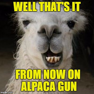 WELL THAT'S IT FROM NOW ON ALPACA GUN | made w/ Imgflip meme maker