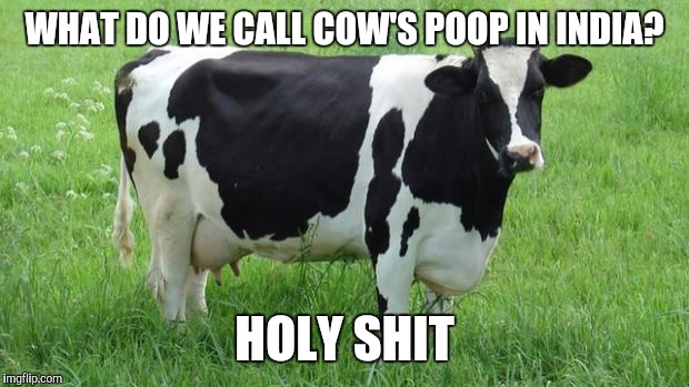 A cow in India | WHAT DO WE CALL COW'S POOP IN INDIA? HOLY SHIT | image tagged in cow,funny,sarcasm | made w/ Imgflip meme maker