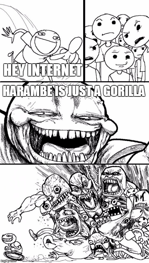 Hey Internet Meme | HEY INTERNET; HARAMBE IS JUST A GORILLA | image tagged in memes,hey internet | made w/ Imgflip meme maker
