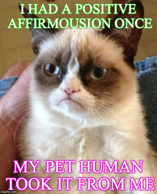 Grumpy Cat Meme | I HAD A POSITIVE AFFIRMOUSION ONCE MY PET HUMAN TOOK IT FROM ME | image tagged in memes,grumpy cat | made w/ Imgflip meme maker